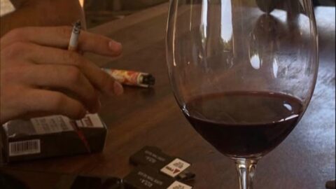 whatsapp image 2026 02 11 at 1.48.33 pm