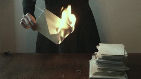 whatsapp image 2026 02 26 at 11.09.54 am