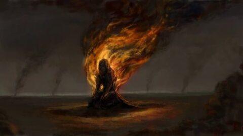 whatsapp image 2026 04 07 at 8.25.07 pm