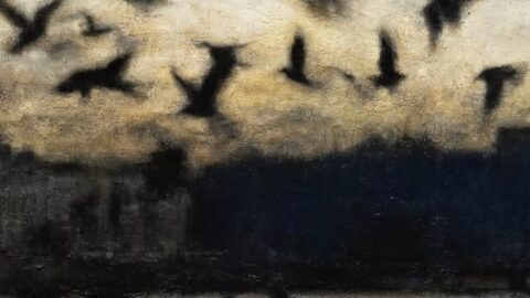 whatsapp image 2026 04 08 at 12.01.35 pm